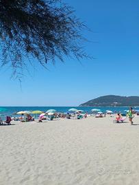 Affitti brevi ampio appartamento vicino al mare