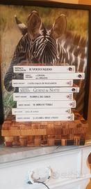 Libri Sidney Sheldon (kit 8 pezzi)