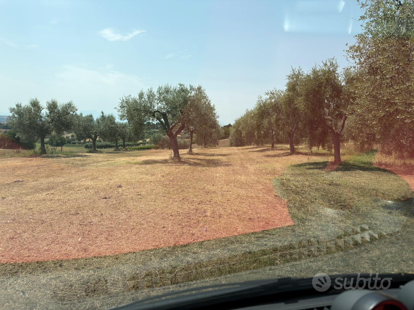 Terreno agricolo pianeggiante - Vista 3