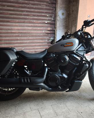 Harley Davidson 975 Nightster Special Biliard Grey