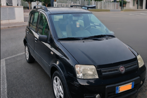 Fiat panda Climbing Natural power
