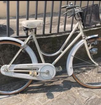 Bici Olandese da Passeggio