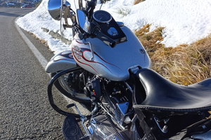 Harley davidson springer 1450