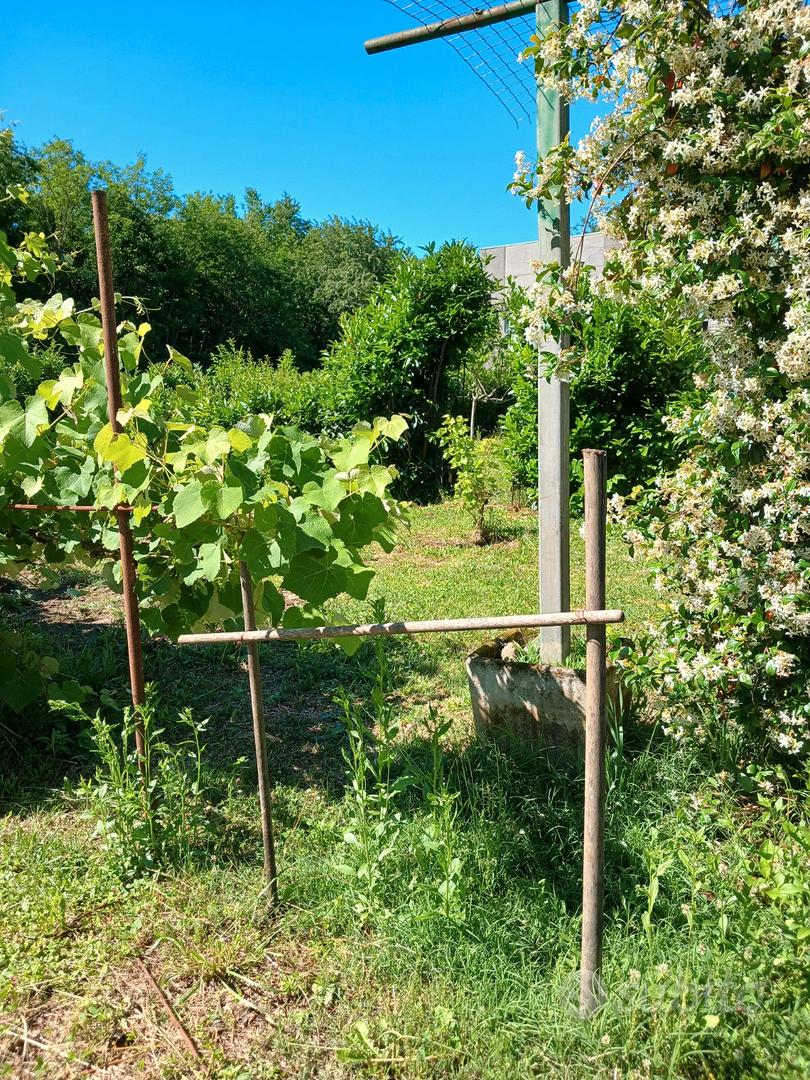 Terreno agricolo - Vista 3