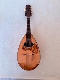 Mandolino Raffaele Calace Classico B