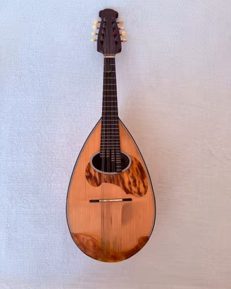 Mandolino Raffaele Calace Classico B