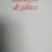 Immagine di Gabicce. Nando Cecini 
