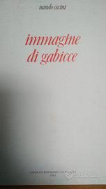 Immagine di Gabicce. Nando Cecini 