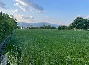 Rif.3386| area edificabile chioggia - Vista 4