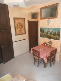 Camere e appartamento vicino Tropea