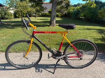 Mountain bike vintage uomo DBS