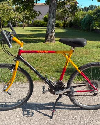 Mountain bike vintage uomo DBS