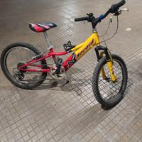 Bicicletta MTB misura 20 Record € 70 solo ritiro