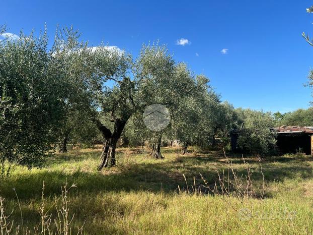 TER. AGRICOLO A CASTEL SANT'ELIA