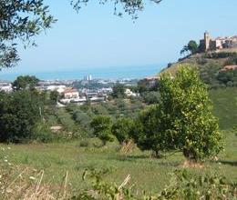 Terreno agricolo a Montesilvano Colli