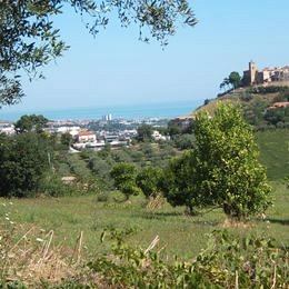 Terreno agricolo a Montesilvano Colli