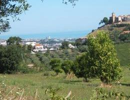 Terreno agricolo a Montesilvano Colli