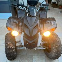 Quad 220 ADLY no 4x4