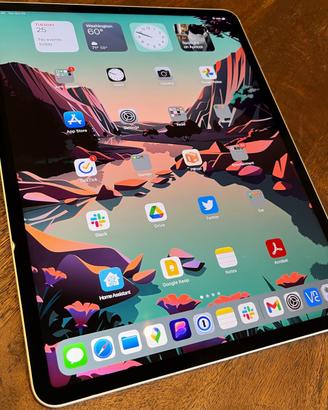Ipad 10 256gb Wi-fi AppleCare fino settembre