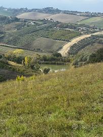 Appezzamento panoramico Roseto degli abruzzi