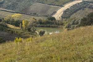 Appezzamento panoramico Roseto degli abruzzi