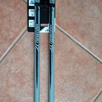 Bastoncini Nordic Walking