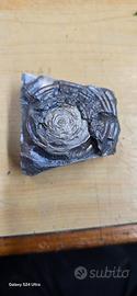 rosa di zinco e fiore metallo