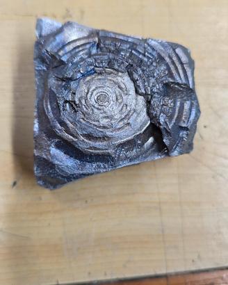 rosa di zinco e fiore metallo