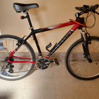 Mountain bike BLACK BEAR professional