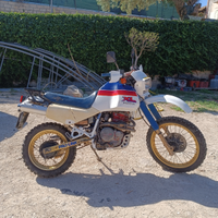 Honda XL 600 LM. Iscritta ASI