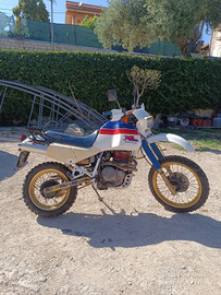 Honda XL 600 LM. Iscritta ASI