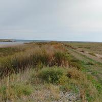 Terreno agricolo 19.000 mq con rudere - vicino mar