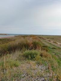Terreno agricolo 19.000 mq con rudere - vicino mar