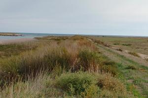 Terreno agricolo 19.000 mq con rudere - vicino mar