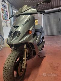 Malaguti phantom  
