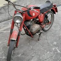 Altro Altro modello