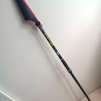 Canna da pesca Globe Sea Mirror 420 Surf Project