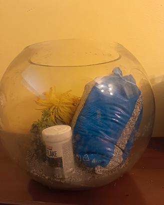 acquario per pesci