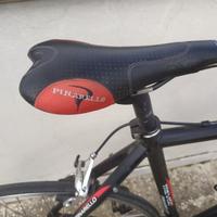 Pinarello treviso