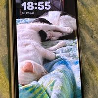 Honor  Magic V5 da 512Gb