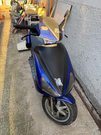 benelli 491