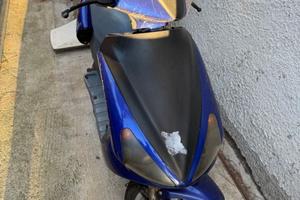 benelli 491