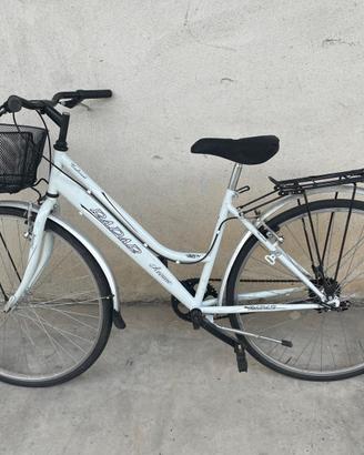 City bike pronte per passeggiate lavoro 28 26