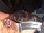 Immagine 2