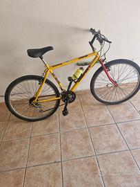 bicicletta