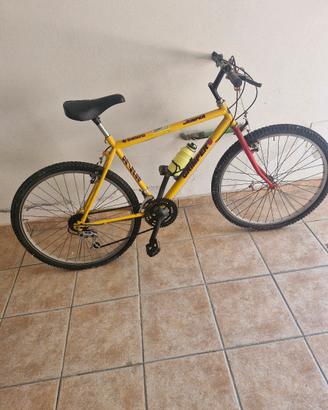 bicicletta
