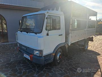 Iveco 65.9 Cassone con Centina e Telone
