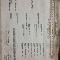 Cavalla qh