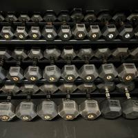 Rastrelliera manubri PRO XL Lacertosus