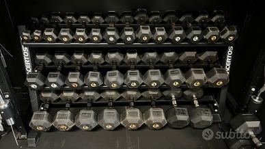 Rastrelliera manubri PRO XL Lacertosus